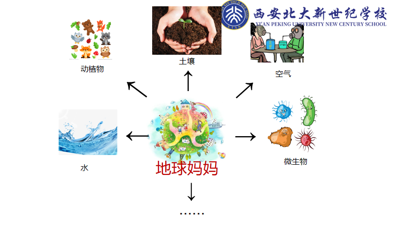 北大新世纪学校小学部藤苗科学课