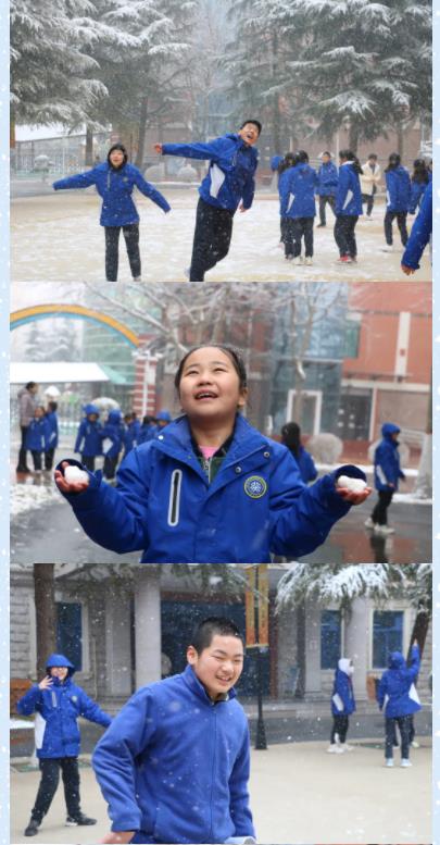 雪落校园 | 西安北大新世纪学校“雪景”图赏