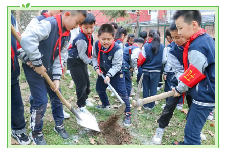 双减落地，劳动助力——西安北大新世纪学校“相约春天，共植希望”植树节活动