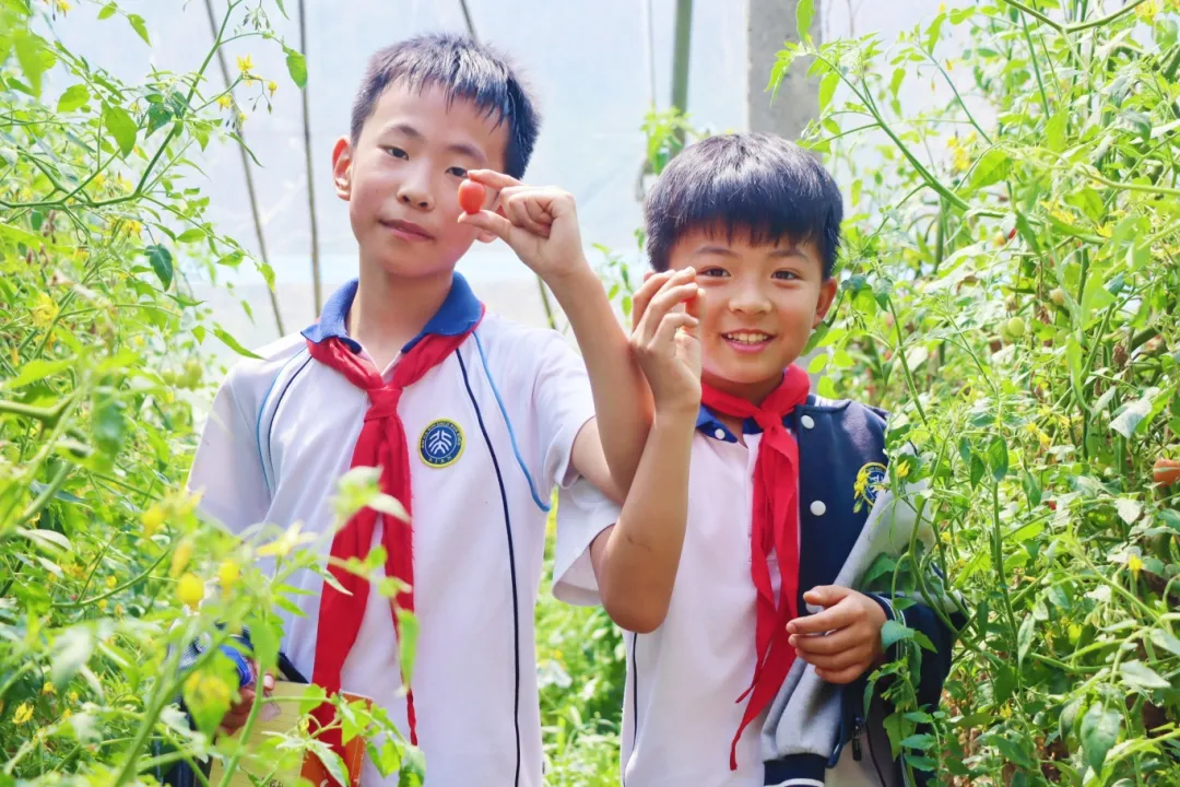 感受劳动快乐 学习农耕文化 | 西安藤信学校泾阳绿优牧场研学活动